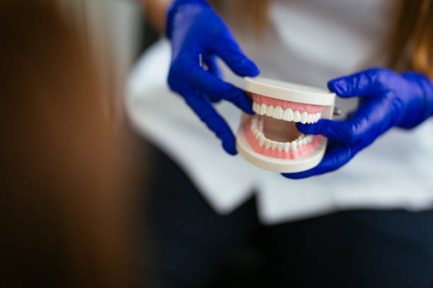  High Bridge, NJ Holistic Dental Services Pros